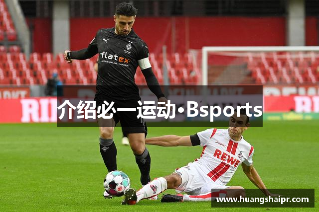 介绍必一运动·Bsports